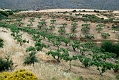 237_Kreta Wschodnia